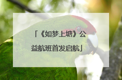《如梦上塘》公益航班首发启航