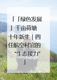 「绿色发展」千亩荷塘 十年新生｜四任航空村官的“生态接力”