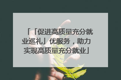 「促进高质量充分就业巡礼」优服务，助力实现高质量充分就业