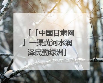 「中国甘肃网」一渠黄河水润泽民勤绿洲