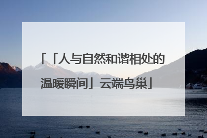「人与自然和谐相处的温暖瞬间」云端鸟巢