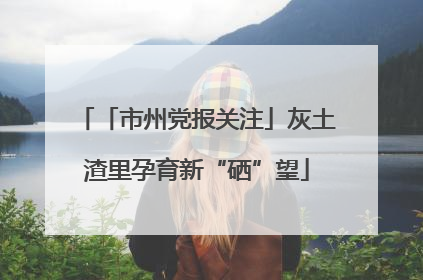 「市州党报关注」灰土渣里孕育新“硒”望