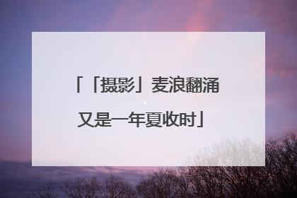 「摄影」麦浪翻涌 又是一年夏收时