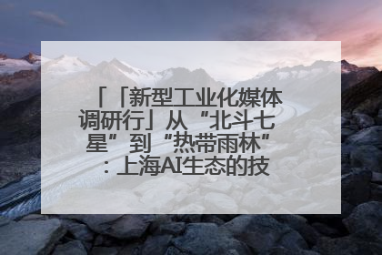 「新型工业化媒体调研行」从“北斗七星”到“热带雨林”：上海AI生态的技术商业共生密码
