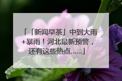 「新闻早茶」中到大雨+暴雨！河北最新预警，还有这些热点……
