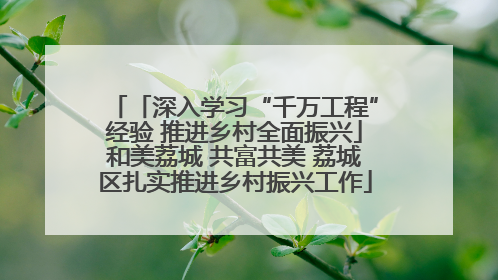 「深入学习“千万工程”经验 推进乡村全面振兴」和美荔城 共富共美 荔城区扎实推进乡村振兴工作