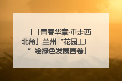 「青春华章·重走西北角」兰州“花园工厂”绘绿色发展画卷