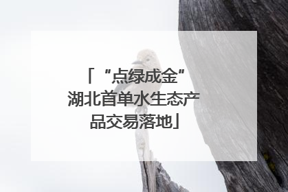 “点绿成金” 湖北首单水生态产品交易落地