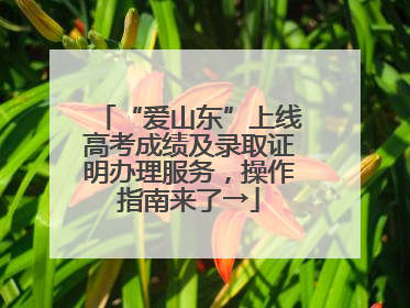 “爱山东”上线高考成绩及录取证明办理服务，操作指南来了→