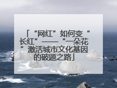 “网红”如何变“长红”——“一朵花”激活城市文化基因的破题之路