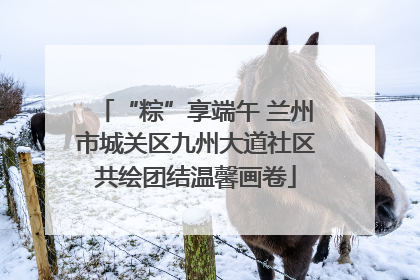 “粽”享端午 兰州市城关区九州大道社区共绘团结温馨画卷