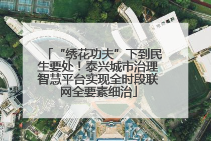 “绣花功夫”下到民生要处！泰兴城市治理智慧平台实现全时段联网全要素细治