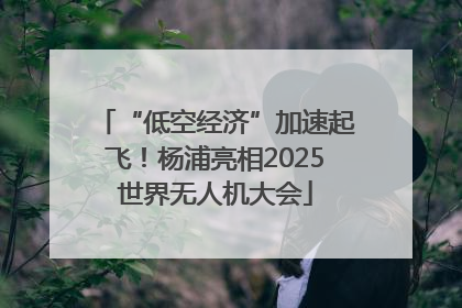 “低空经济”加速起飞！杨浦亮相2025世界无人机大会