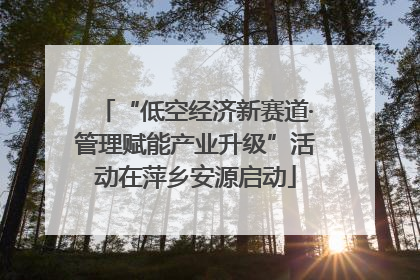 “低空经济新赛道·管理赋能产业升级”活动在萍乡安源启动