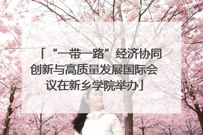 “一带一路”经济协同创新与高质量发展国际会议在新乡学院举办