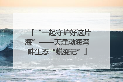 “一起守护好这片海”——天津渤海湾畔生态“蜕变记”