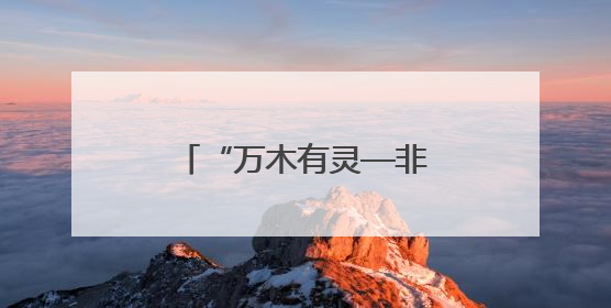 “万木有灵—非洲雕塑艺术展”河南安阳开展