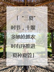 “三夏”时节，十堰多地抢抓农时有序推进夏种夏管