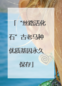 “丝路活化石”古老马种优质基因永久保存