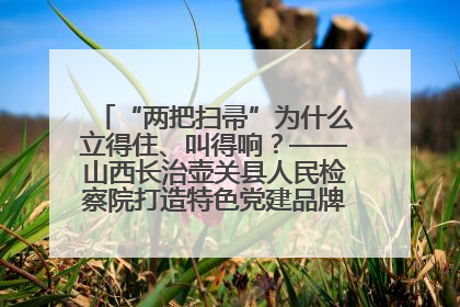 “两把扫帚”为什么立得住、叫得响？——山西长治壶关县人民检察院打造特色党建品牌激活发展动能