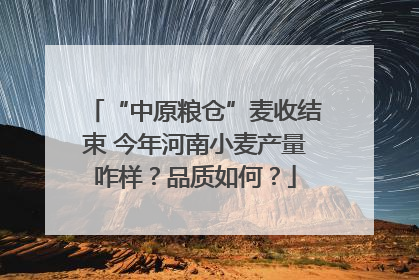 “中原粮仓”麦收结束 今年河南小麦产量咋样？品质如何？