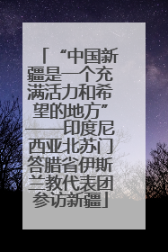 “中国新疆是一个充满活力和希望的地方”——印度尼西亚北苏门答腊省伊斯兰教代表团参访新疆