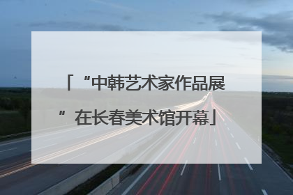 “中韩艺术家作品展”在长春美术馆开幕
