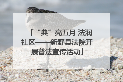 “典”亮五月 法润社区——新野县法院开展普法宣传活动