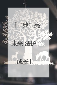 “典”亮未来 法护成长
