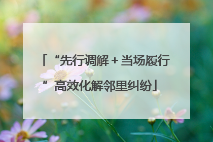 “先行调解＋当场履行”高效化解邻里纠纷