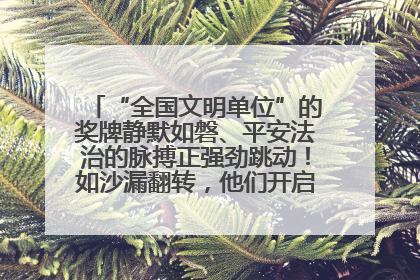 “全国文明单位”的奖牌静默如磐、平安法治的脉搏正强劲跳动！如沙漏翻转，他们开启了全新的计时