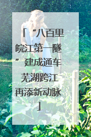 “八百里皖江第一隧”建成通车 芜湖跨江再添新动脉