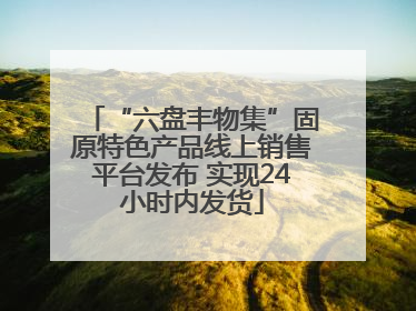 “六盘丰物集”固原特色产品线上销售平台发布 实现24小时内发货