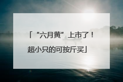 “六月黄”上市了！超小只的可按斤买