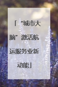 “城市大脑”激活航运服务业新动能