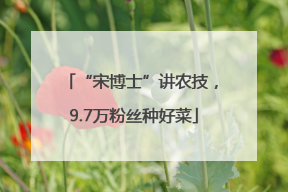 “宋博士”讲农技，9.7万粉丝种好菜