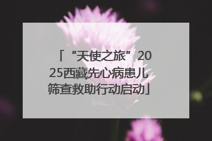 “天使之旅”2025西藏先心病患儿筛查救助行动启动