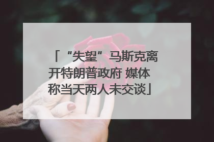 “失望”马斯克离开特朗普政府 媒体称当天两人未交谈