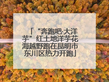 “奔跑吧·大洋芋”红土地洋芋花海越野跑在昆明市东川区热力开跑