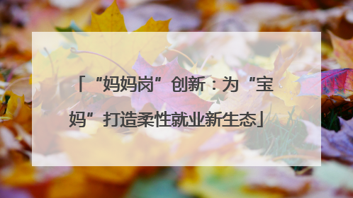 “妈妈岗”创新：为“宝妈”打造柔性就业新生态