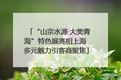 “山宗水源·大美青海”特色展亮相上海 多元魅力引客商聚焦