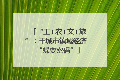 “工+农+文+旅”：丰城市镇域经济“蝶变密码”