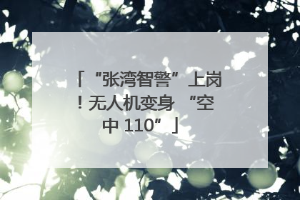 “张湾智警”上岗！无人机变身 “空中 110”