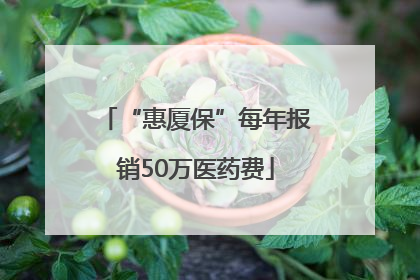 “惠厦保”每年报销50万医药费
