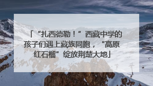 “扎西德勒！”西藏中学的孩子们遇上藏族同胞，“高原红石榴”绽放荆楚大地
