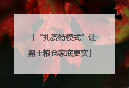 “扎赉特模式”让黑土粮仓家底更实
