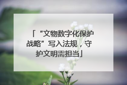 “文物数字化保护战略”写入法规，守护文明需担当