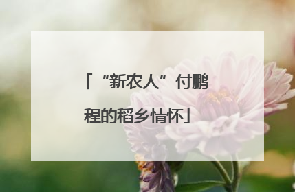 “新农人”付鹏程的稻乡情怀