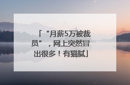 “月薪5万被裁员”，网上突然冒出很多！有猫腻