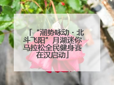 “潮势咏动・北斗飞阳”月湖迷你马拉松全民健身赛在汉启动